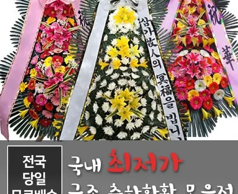 엄청 고민하고 구매한 고인범 꽃배달 구매하길 잘한거 같아요