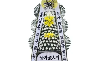 내돈내산 배칠수 꽃배달 두번사세요