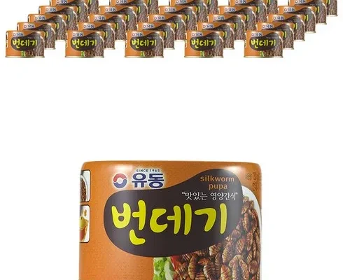 인기템 번데기캔 장단점 분석